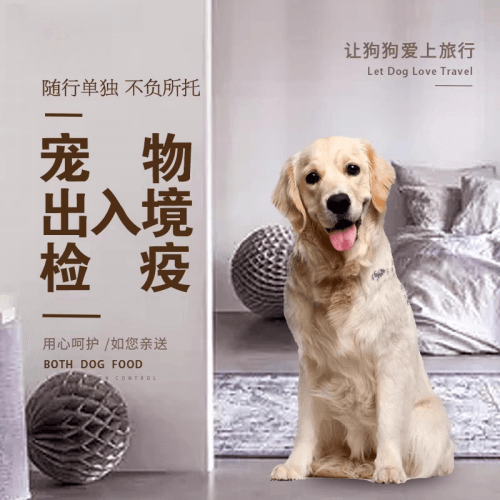 连云港宠物托运到哥伦比亚猫狗宠物入境规定和