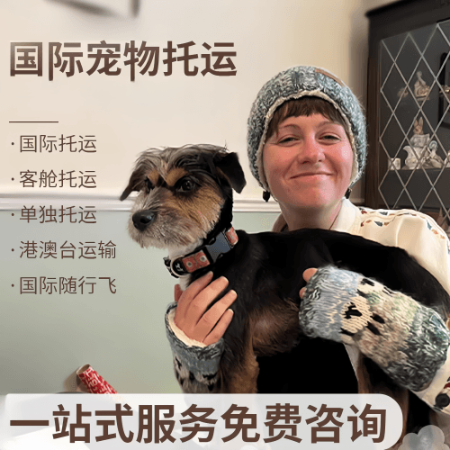 连云港国际宠物托运到阿根廷宠物入境规定和要