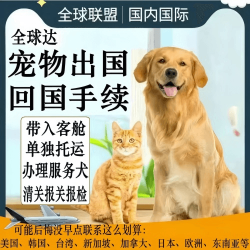 连云港宠物托运到柬埔寨宠物入境规定和要求