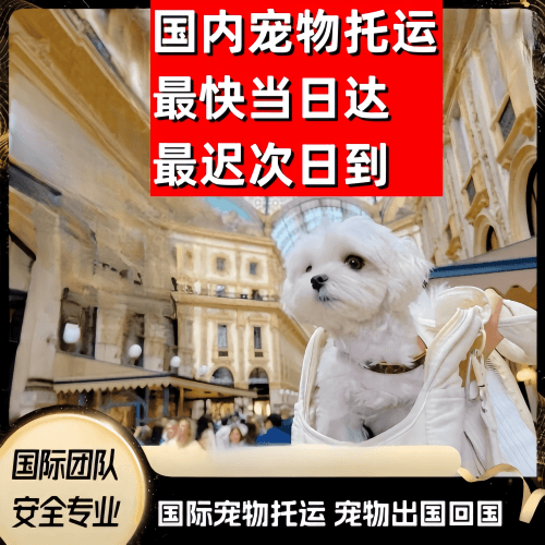 连云港到澳大利亚（澳洲）宠物入境规定和要求