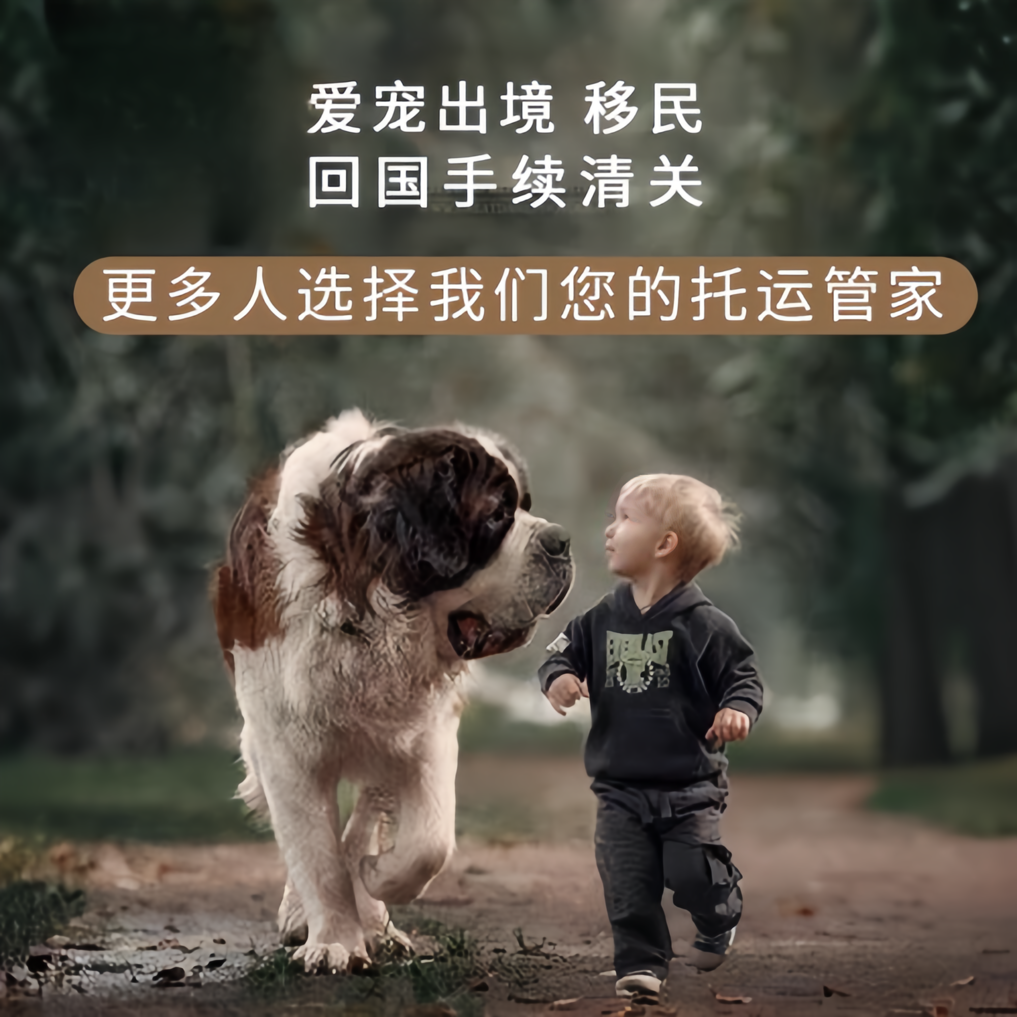 满财连云港宠物全球达宠物托运在遵守入境目的地政策的条件