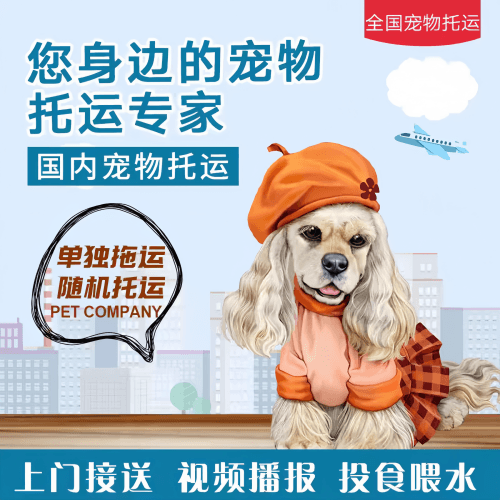 满财连云港宠物全球达宠物托运作为专业的宠物运输代理机构
